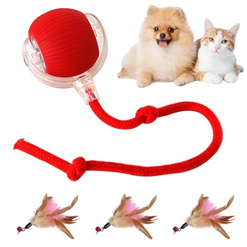 AOUZOVLI Magic Ball für Hunde,Interaktiver Spielball für Katzen,Intelligente Magic Ball Hund,Wiederaufladbar über USB,Kommt mit 3 Ersatzköpfen aus Seidenpulver und Katzen-Stäbchen aus Federn AOUZOVLI Magic Ball für Hunde,Interaktiver Spielball für Katzen,Intelligente Magic Ball Hund,Wiederaufladbar über USB,Kommt mit 3 Ersatzköpfen aus Seidenpulver und Katzen-Stäbchen aus Federn von AOUZOVLI