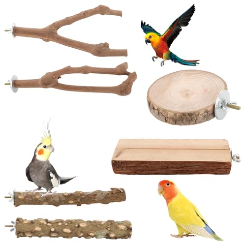 APACALI 6 Stück Natur Sitzstangen Set für Vögel, Wildes Traubenholz Sitzstangen für Vogelkäfige, Wellensittich Sitzbrett Vogelspielplatz für Wellensittich Nymphensittich Kanarienvogel APACALI 6 Stück Natur Sitzstangen Set für Vögel, Wildes Traubenholz Sitzstangen für Vogelkäfige, Wellensittich Sitzbrett Vogelspielplatz für Wellensittich Nymphensittich Kanarienvogel von APACALI