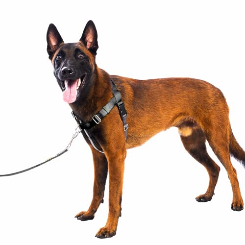 APDEXY Freedom No Pull Hundegeschirr für große Hunde, Easy Walker, Anti-Zug mit zwei Edelstahl-D-Ringen, bequem, eingenähte Anleitung (evtl. nicht in deutscher Sprache) für einfache Handhabung von APDEXY