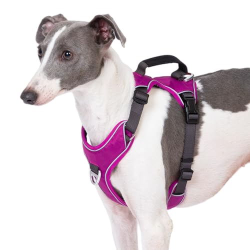 APDEXY Urban Hundegeschirr mit Kontrollgriff, 3M-reflektierende Weste, einfaches Gehen vorne und hinten, Leinenclips (lila, klein) von APDEXY
