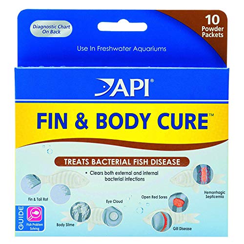 (2 Pack) API 10 Packets of Fin & Body Cure Powder von API