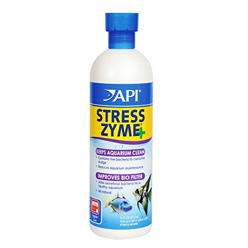 API DE-56E Stress Zyme Reinigungslösung 473 ml Flasche für Süßwasser- und Meerwasseraquarien, M von API