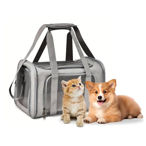 APKOL Transporttasche Katze Hund,7kg Faltbare Transportbox Katze mit Schulterriemen,Katzentransportbox Hunde Katzen Transportboxen,katzentransporttasche, kleine Hundetransportbox Grau,L APKOL Transporttasche Katze Hund,7kg Faltbare Transportbox Katze mit Schulterriemen,Katzentransportbox Hunde Katzen Transportboxen,katzentransporttasche, kleine Hundetransportbox Grau,L von APKOL