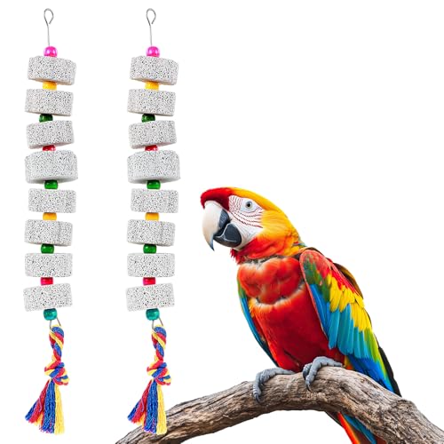APLZGMG 2 Pack Vogelkauspielzeug - Papageienschnabel Pickspielzeug mit Calcium Vulkanstein, Papageien Anreicherung Spielzeug mit Glocken, Vogelstall Zubehör für Vögel, Huhn, Papagei, Nagetiere APLZGMG 2 Pack Vogelkauspielzeug - Papageienschnabel Pickspielzeug mit Calcium Vulkanstein, Papageien Anreicherung Spielzeug mit Glocken, Vogelstall Zubehör für Vögel, Huhn, Papagei, Nagetiere von APLZGMG