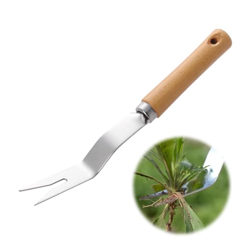 APODESS Gartenarbeit Hand Unkrautstecher,Garten-Unkrautziehwerkzeug Unkrautstecher Edelstahl Gartenwerkzeug Unkraut Entferner Gerät mit Stiel für den Garten Jäten, Lösen (Edelstahl 01) von APODESS