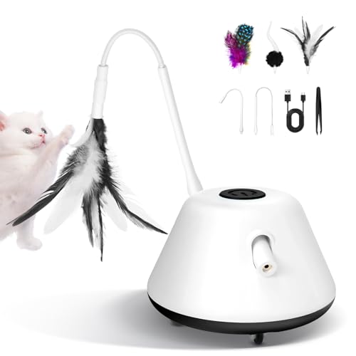 APODESS Katzenspielzeug Selbstbeschäftigung,2025 Neu 3 in 1 Elektrische Interaktives Katzenspielzeug und Federspielzeug,Katzen Spielzeug mit USB für Hauskatzen (Schwarz) von APODESS
