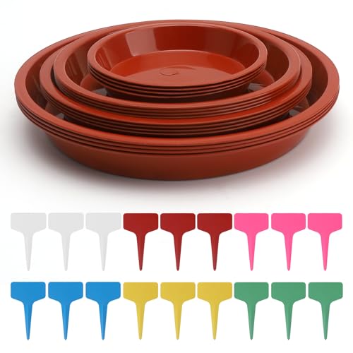 APOMOONS 16 Stück Rot Plastik Blumentopf Untersetzer Blumentopfuntersetzer mit 18 Stück Etikett Blumenuntersetzer Rund Pflanzen Untersetzer Rund Pflanzenuntersetzer für Innen und Außenpflanzen APOMOONS 16 Stück Rot Plastik Blumentopf Untersetzer Blumentopfuntersetzer mit 18 Stück Etikett Blumenuntersetzer Rund Pflanzen Untersetzer Rund Pflanzenuntersetzer für Innen und Außenpflanzen von APOMOONS