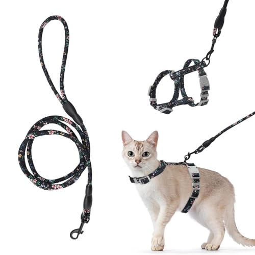 APOMOONS Katzengeschirr mit Leine Verstellbar Katzenleine Brustgurt Leine Katze Kätzchen Sicherheitsschnalle Katzengeschirr Kitten Ausbruchsicher Katzenleine mit Geschirr für Cat Harness Schwarz von APOMOONS