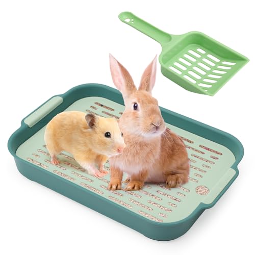 APOMOONS Tablett Hasentoilette, Kaninchen Toilette, Kaninchentoilette, Katzenklo Klein, Klo Ecke für Kleintier Hasen Meerschweinchen (Grün-Klein) von APOMOONS