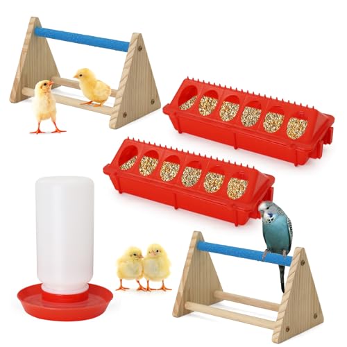 Küken-Futterstation und Bewässerungs-Set mit Mini-Sitzstange, Küken-Starter-Set für kleine Geflügel, Enten/Wachteln, Stallbrutfutterbedarf Küken-Futterstation und Bewässerungs-Set mit Mini-Sitzstange, Küken-Starter-Set für kleine Geflügel, Enten/Wachteln, Stallbrutfutterbedarf von APlayfulBee