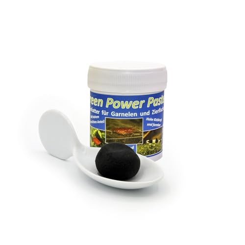 AQ4Aquaristik Futterpaste: Green Power Paste - Futter für Garnelen und Zierfische, 70g von AQ4Aquaristik