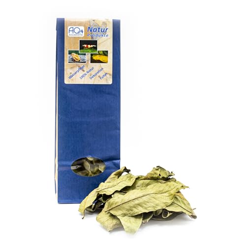 AQ4Aquaristik Walnusslaub - 15 Walnussblätter - getrocknet - Futter für Zwerggarnelen, Welse und Triops, Naturprodukt AQ4Aquaristik Walnusslaub - 15 Walnussblätter - getrocknet - Futter für Zwerggarnelen, Welse und Triops, Naturprodukt von AQ4Aquaristik