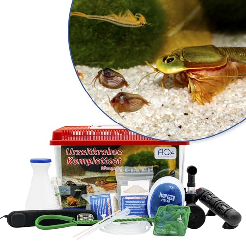 AQ4Aquaristik Premium Mongolische Urzeitkrebse Komplett-Set mit 3 Arten Eier, 6 l Becken, LED-Beleuchtung, Zuchtansatz, Heizung, Filter, Luftpumpe, Kescher, Futter, Zubehör, Anleitung von AQ4Aquaristik