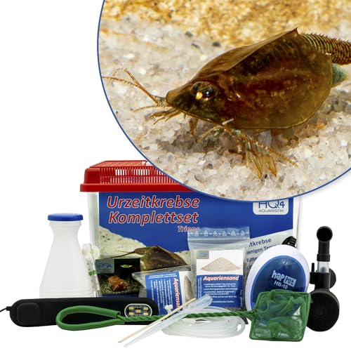 Triops cancriformis Premium Komplett-Set 6 l mit Urzeitkrebs Eiern, Becken, LED-Beleuchtung, Zuchtansatz, Filter, Luftpumpe, Kescher, Futter, Zubehör, Anleitung von AQ4Aquaristik