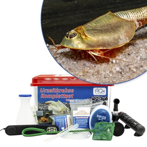 AQ4Aquaristik Triops longicaudatus Premium Komplett-Set 6 l mit Urzeitkrebs Eiern, Becken, LED-Beleuchtung, Zuchtansatz, Heizung, Filter, Luftpumpe, Kescher, Futter, Zubehör, Anleitung AQ4Aquaristik Triops longicaudatus Premium Komplett-Set 6 l mit Urzeitkrebs Eiern, Becken, LED-Beleuchtung, Zuchtansatz, Heizung, Filter, Luftpumpe, Kescher, Futter, Zubehör, Anleitung von AQ4Aquaristik