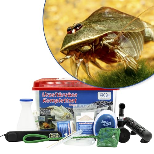 Triops cf. longicaudatus Hawaii Premium Komplett-Set 6 lmit Urzeitkrebs Eiern, Becken, LED-Beleuchtung, 2 Zuchtansätze, Heizung, Filter, Luftpumpe, Kescher, Futter, Zubehör, Anleitung von AQ4Aquaristik