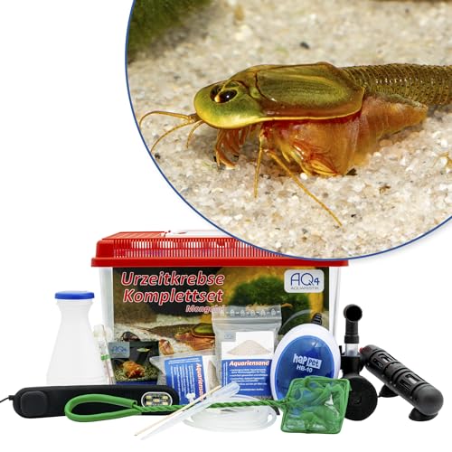 AQ4Aquaristik Triops sp. Mongolei Premium Komplett-Set mit Urzeitkrebs Eiern, 6 l Becken, LED-Beleuchtung, Zuchtansatz, Heizung, Filter, Luftpumpe, Kescher, Futter, Zubehör, Anleitung von AQ4Aquaristik