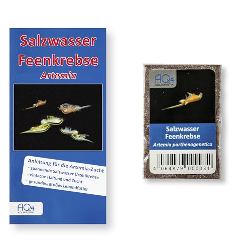 AQ4Aquaristik Salzwasser Feenkrebse - Artemia - Eier - mit Anleitung, Artemia parthenogenetica von AQ4Aquaristik