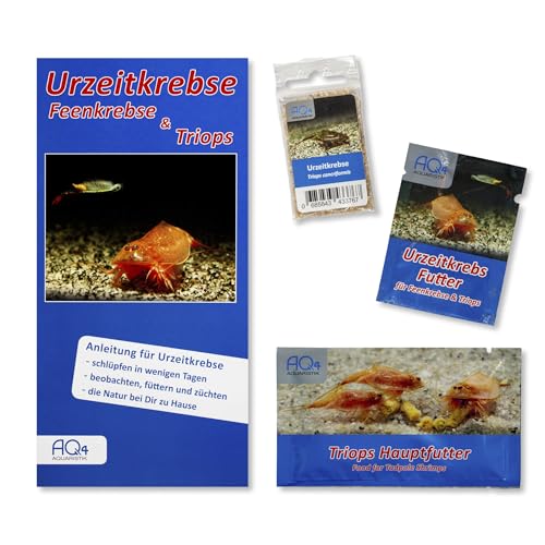 AQ4Aquaristik Triops cancriformis - Starter Set Triops Eier - mit Urzeitkrebse Futter, Triops Hauptfutter und Anleitung - Europäischer Sommerschildkrebs von AQ4Aquaristik