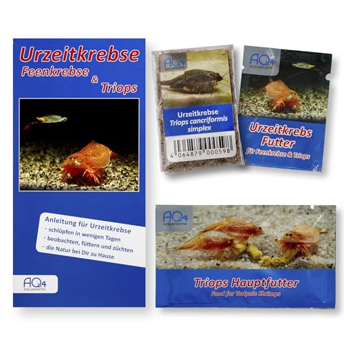 AQ4Aquaristik Triops cancriformis simplex - Starter Set Urzeitkrebse Eier - mit Aufzuchtfutter, Hauptfutter und Anleitung von AQ4Aquaristik