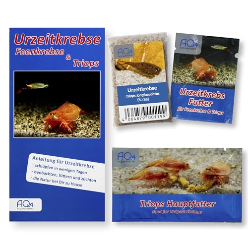 AQ4Aquaristik Triops longicaudatus Korea Starter Set Urzeitkrebs Eier mit Futter und Anleitung von AQ4Aquaristik