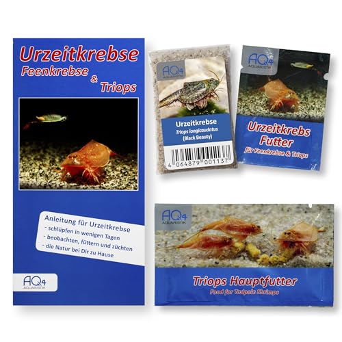 AQ4Aquaristik Triops longicaudatus (Black Beauty) - Starter Set Urzeitkrebs Eier - mit Futter und Anleitung von AQ4Aquaristik