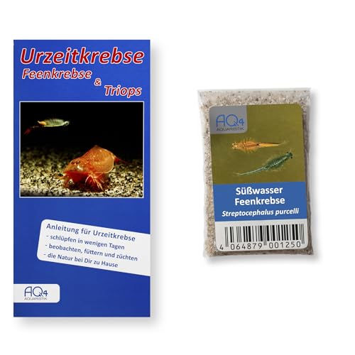 AQ4Aquaristik Südafrikanische Süßwasser-Feenkrebse - Streptocephalus purcelli (Zuchtansatz, Urzeitkrebse-Eier) mit Anleitung - Rarität - Fairy Shrimps von AQ4Aquaristik