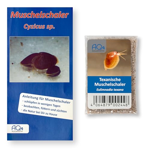 AQ4Aquaristik Texanische Muschelschaler Eulimnadia Texana - Urzeitkrebse Eier (Zuchtansatz) - mit Anleitung - TOP RARITÄT - Werden ca 15mm groß von AQ4Aquaristik
