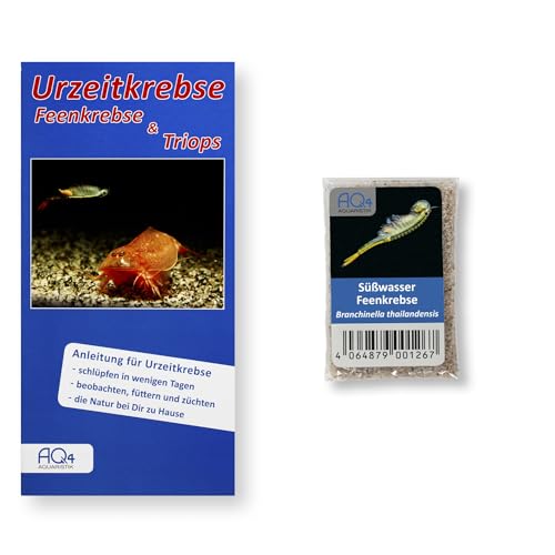 AQ4Aquaristik Thailändische Feenkrebse Branchinella thailandensis - Urzeitkrebse Zuchtansatz mit mehr als 1.000 Eiern, 2.000 Eier von AQ4Aquaristik