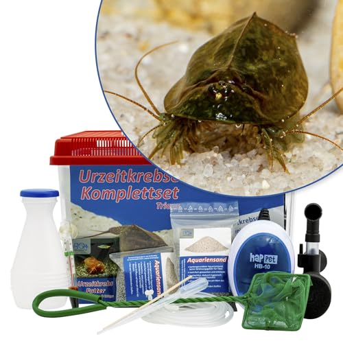 Triops cancriformis simplex Komplettset mit Urzeitkrebseiern: 6 l Aquarium, Zuchtansatz, Filter, Luftpumpe, Zubehör, Futter und Anleitung, von AQ4Aquaristik