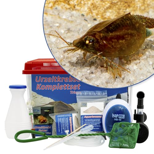 AQ4Aquaristik Triops cancriformis 6 Liter Komplettset mit Urzeitkrebseiern: Aquarium, Zuchtansatz, Filter, Luftpumpe, Zubehör, Futter und Anleitung AQ4Aquaristik Triops cancriformis 6 Liter Komplettset mit Urzeitkrebseiern: Aquarium, Zuchtansatz, Filter, Luftpumpe, Zubehör, Futter und Anleitung von AQ4Aquaristik