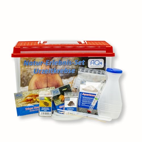 AQ4Aquaristik Triops Natur-Erlebnis-Set Urzeitkrebse mit, 6 l Becken, Zubehör, Aktivboden, Futter und Anleitung für Schule, Kindergarten oder Zuhause von AQ4Aquaristik