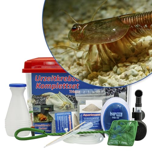 AQ4Aquaristik Triops Granarius Komplettset mit Urzeitkrebseiern: 6 l Aquarium, Zuchtansatz, Filter, Luftpumpe, Zubehör, Futter und Anleitung AQ4Aquaristik Triops Granarius Komplettset mit Urzeitkrebseiern: 6 l Aquarium, Zuchtansatz, Filter, Luftpumpe, Zubehör, Futter und Anleitung von AQ4Aquaristik