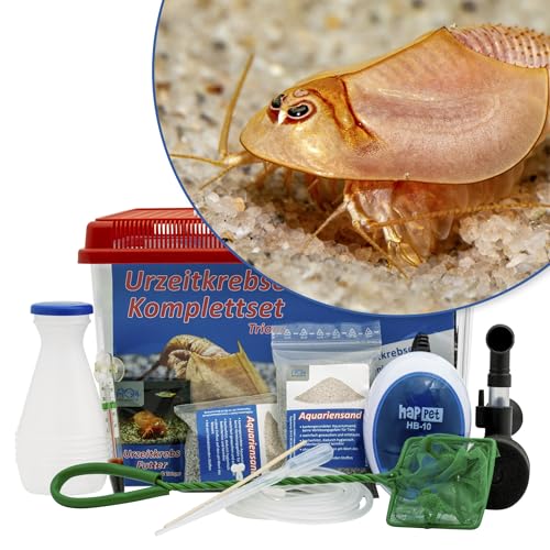 Triops longicaudatus (rot) Komplettset mit Urzeitkrebseiern: 6 l Aquarium, Zuchtansatz, Filter, Luftpumpe, Zubehör, Futter und Anleitung, von AQ4Aquaristik