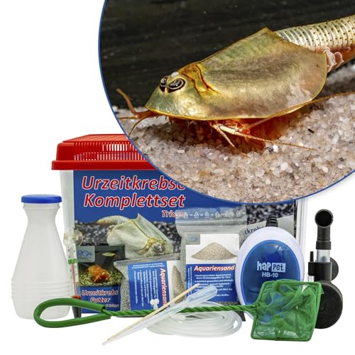 AQ4Aquaristik Triops longicaudatus Komplettset 6 l mit Urzeitkrebseiern:Aquarium, Zuchtansatz, Filter, Luftpumpe, Zubehör, Futter und Anleitung AQ4Aquaristik Triops longicaudatus Komplettset 6 l mit Urzeitkrebseiern:Aquarium, Zuchtansatz, Filter, Luftpumpe, Zubehör, Futter und Anleitung von AQ4Aquaristik