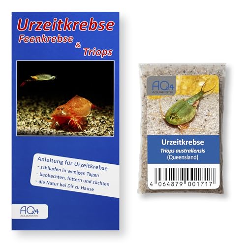 AQ4Aquaristik Triops australiensis (Queensland) - Triops Eier - mit Anleitung - Urzeitkrebse RARITÄT aus Australien von AQ4Aquaristik