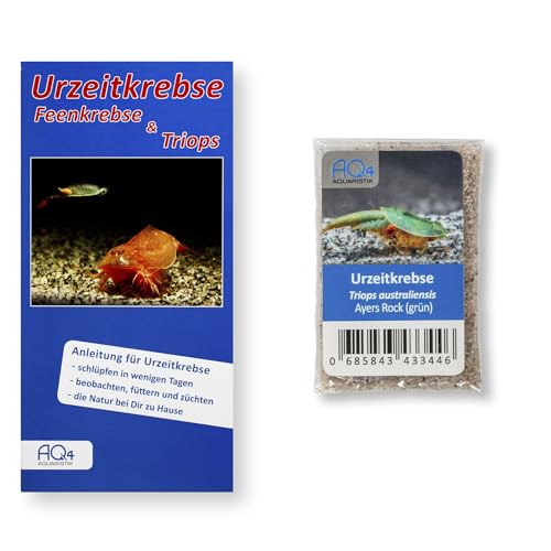 AQ4Aquaristik Triops australiensis Ayers Rock (grün) RARITÄT (Zuchtansatz) mit Anleitung - Eier in Sand von AQ4Aquaristik