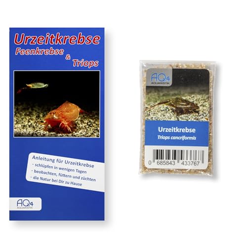 AQ4Aquaristik Triops cancriformis, ca. 50-100 Urzeitkrebse Eier in Sand, Zuchtansatz mit Anleitung, Europäischer Sommerschildkrebs von AQ4Aquaristik