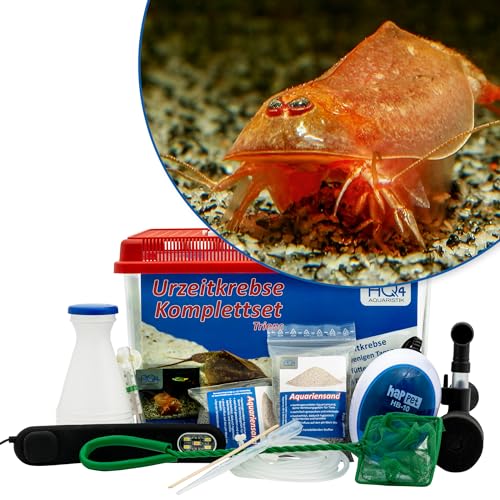AQ4Aquaristik Triops cancriformis VAR. Beni Kabuto EBI Premium Komplett-Set mit Urzeitkrebs Eiern, 6 l Becken, LED-Beleuchtung, Zuchtansatz, Filter, Luftpumpe, Kescher, Futter, Zubehör, Anleitung AQ4Aquaristik Triops cancriformis VAR. Beni Kabuto EBI Premium Komplett-Set mit Urzeitkrebs Eiern, 6 l Becken, LED-Beleuchtung, Zuchtansatz, Filter, Luftpumpe, Kescher, Futter, Zubehör, Anleitung von AQ4Aquaristik