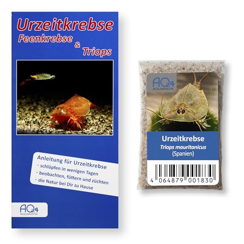 AQ4Aquaristik Triops mauritanicus (Spanien) - Triops Eier - mit Anleitung - RARITÄT aus wissenschaftlicher Aufsammlung von AQ4Aquaristik