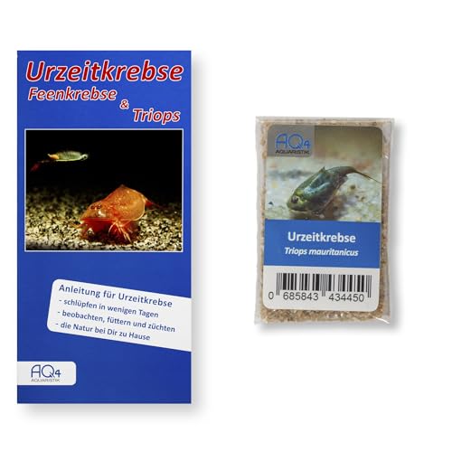 AQ4Aquaristik Triops mauritanicus - Urzeitkrebs-Eier ca. 100 Stück in Sand - Zuchtansatz mit Anleitung, Rarität von AQ4Aquaristik