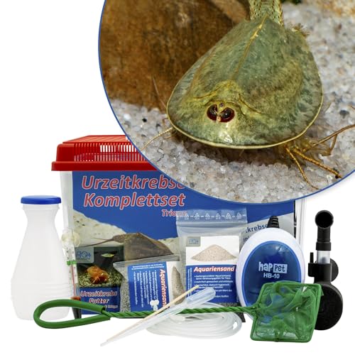 AQ4Aquaristik Triops mauritanicus (grün) Komplettset 6 l mit Urzeitkrebseiern: Aquarium, Zuchtansatz, Filter, Luftpumpe, Zubehör, Futter und Anleitung, von AQ4Aquaristik