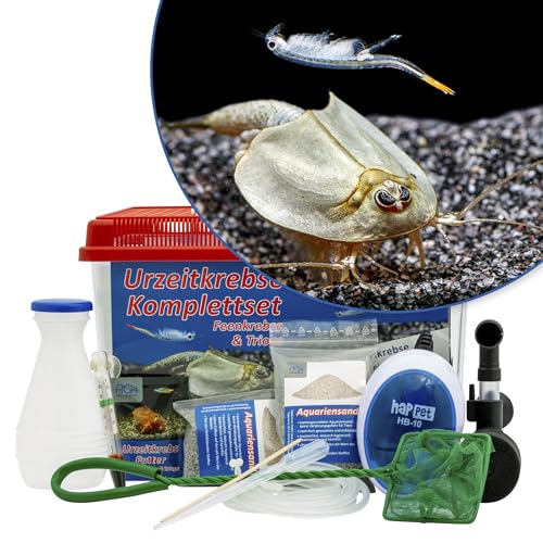 Triops und Feenkrebse Urzeitkrebse Komplettset,6 Liter, Kunststoff Aquarium, Eier, Luftpumpe, Filter, Kescher, Zuchtansatz, Futter und Anleitung Triops und Feenkrebse Urzeitkrebse Komplettset,6 Liter, Kunststoff Aquarium, Eier, Luftpumpe, Filter, Kescher, Zuchtansatz, Futter und Anleitung von AQ4Aquaristik