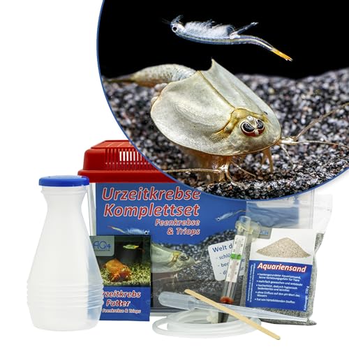 AQ4Aquaristik Triops und Feenkrebse Urzeitkrebse Starter Set: Eier, 2,5 Liter Kunststoff Aquarium mit Zubehör, Futter und Anleitung AQ4Aquaristik Triops und Feenkrebse Urzeitkrebse Starter Set: Eier, 2,5 Liter Kunststoff Aquarium mit Zubehör, Futter und Anleitung von AQ4Aquaristik