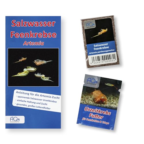 Artemia Zucht Set (klein) für Aquarianer - mehr als 1.000.000 Eier - mit Futter und Anleitung, Artemia parthenogenetica von AQ4Aquaristik