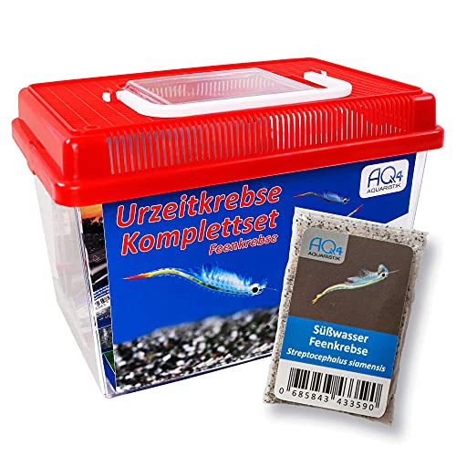 Feenkrebse Starterset mit Urzeitkrebs Eiern: 2,5 l Aquarium, Zubehör, Zuchtansatz, Futter und Anleitung, Streptocephalus siamensis Feenkrebse Starterset mit Urzeitkrebs Eiern: 2,5 l Aquarium, Zubehör, Zuchtansatz, Futter und Anleitung, Streptocephalus siamensis von AQ4Aquaristik