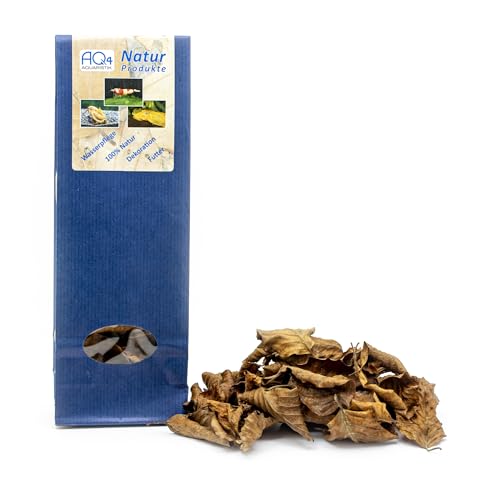 Buchenlaub - 40 Buchenblätter - getrocknet - Dekoration, Futter, Wasserpflege fürs Aquarium, Naturprodukt Buchenlaub - 40 Buchenblätter - getrocknet - Dekoration, Futter, Wasserpflege fürs Aquarium, Naturprodukt von AQ4Aquaristik