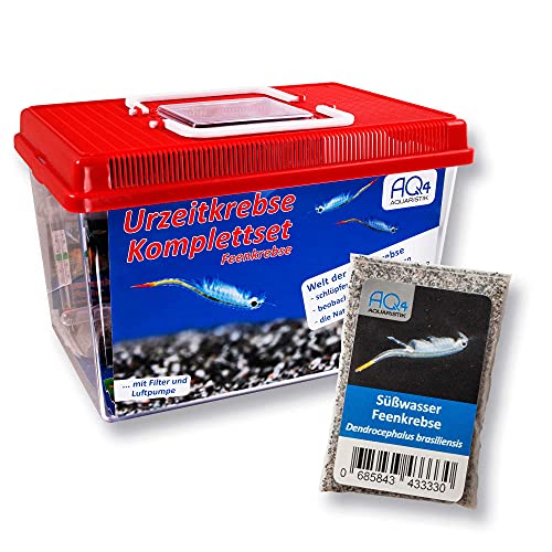 PREMIUM Feenkrebse Komplett-Set: mehr als 1000 Urzeitkrebs Eier, 6 l Becken, LED-Beleuchtung, Luftpumpe, Filter, Kescher, Heizung, Zubehör, Zuchtansatz, Futter, Anleitung, Dendrocephalus brasiliensis PREMIUM Feenkrebse Komplett-Set: mehr als 1000 Urzeitkrebs Eier, 6 l Becken, LED-Beleuchtung, Luftpumpe, Filter, Kescher, Heizung, Zubehör, Zuchtansatz, Futter, Anleitung, Dendrocephalus brasiliensis von AQ4Aquaristik