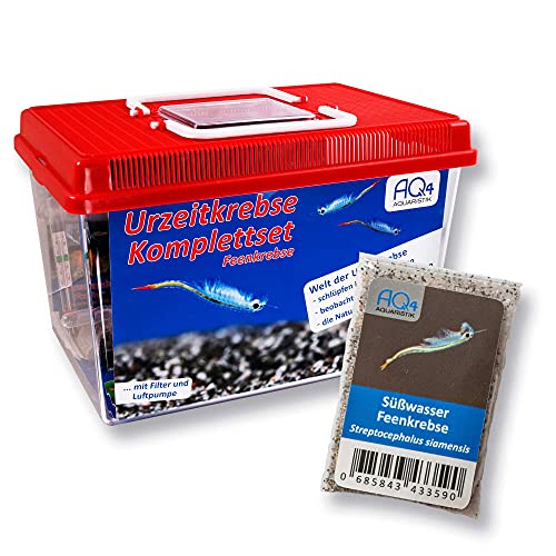 PREMIUM Feenkrebse Komplett-Set: mehr als 1000 Urzeitkrebs Eier, 6 l Becken, LED-Beleuchtung, Luftpumpe, Filter, Kescher, Heizung, Zubehör, Zuchtansatz, Futter, Anleitung, Streptocephalus siamensis PREMIUM Feenkrebse Komplett-Set: mehr als 1000 Urzeitkrebs Eier, 6 l Becken, LED-Beleuchtung, Luftpumpe, Filter, Kescher, Heizung, Zubehör, Zuchtansatz, Futter, Anleitung, Streptocephalus siamensis von AQ4Aquaristik