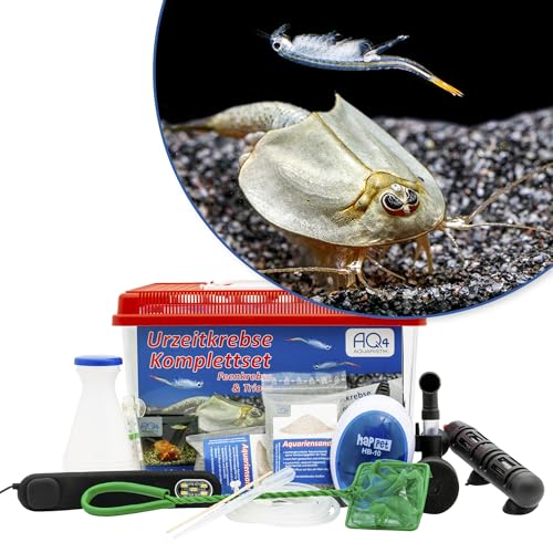 Triops und Feenkrebse Komplettset 6 L Premium Urzeitkrebse :Aquarium mit LED-Beleuchtung, Luftpumpe, Filter, Kescher, Heizung, Zubehör, Zuchtansatz mit vielen Eier, Futter und Anleitung von AQ4Aquaristik